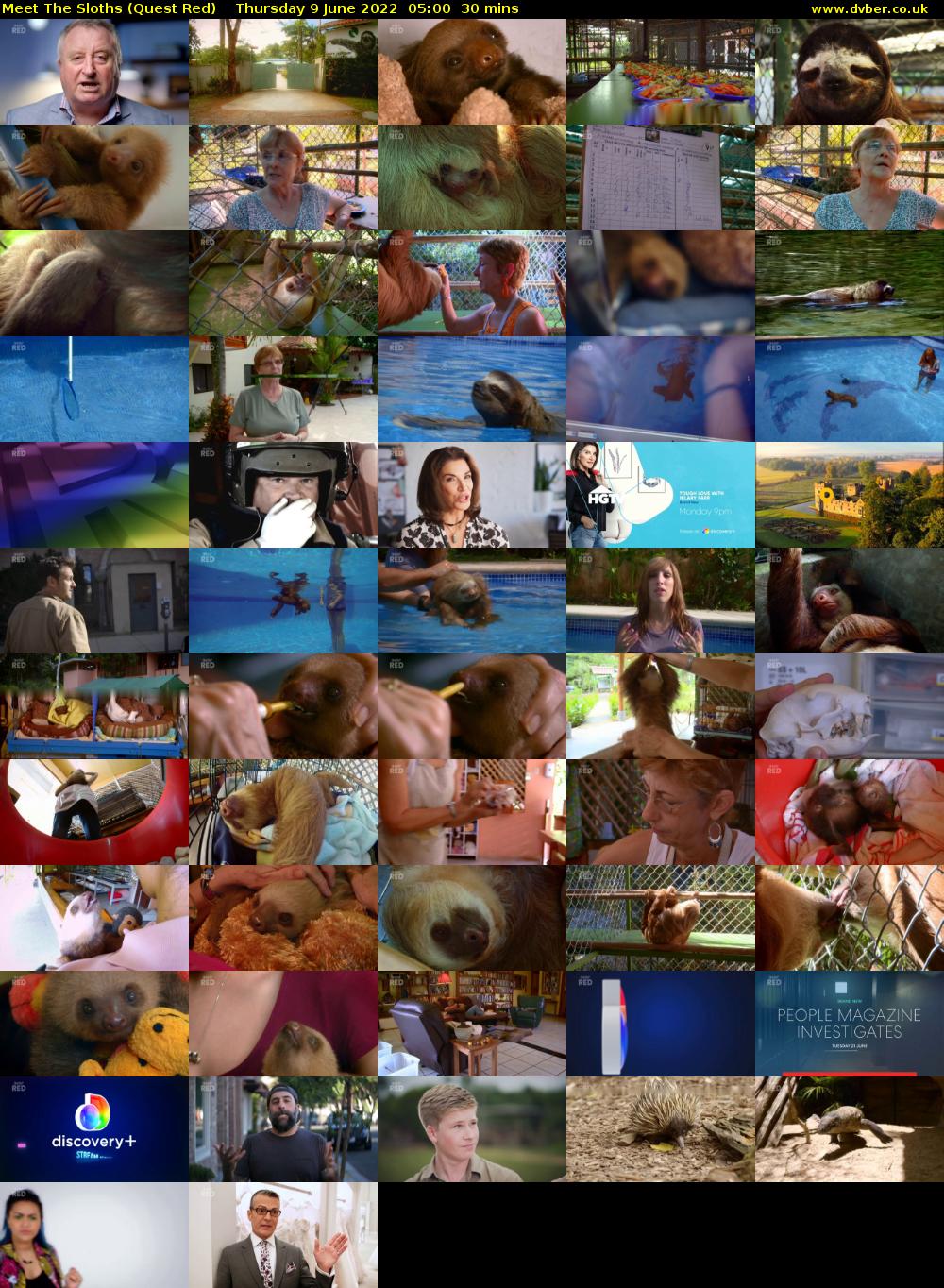 Meet The Sloths (Quest Red) Thursday 9 June 2022 05:00 - 05:30