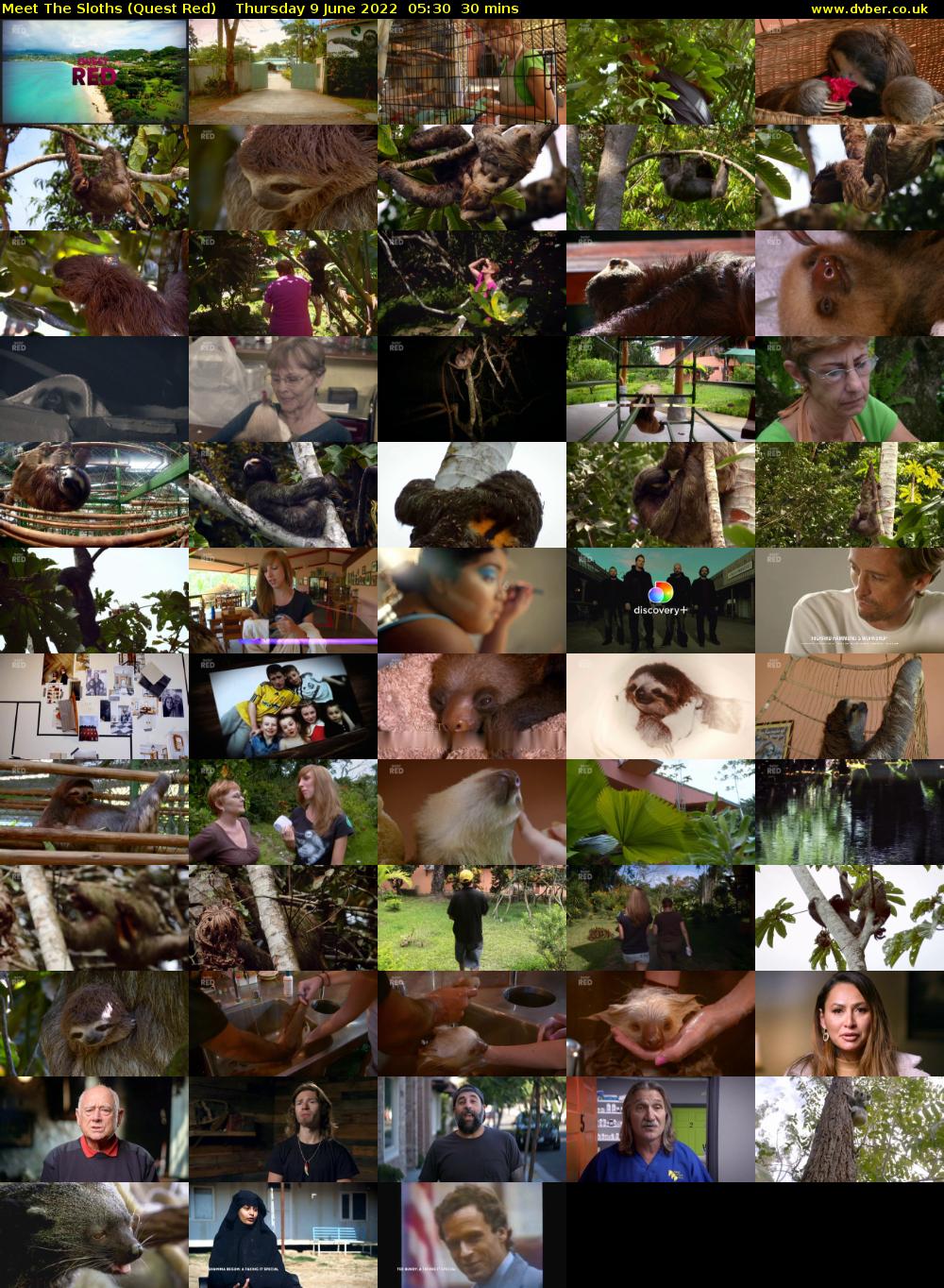 Meet The Sloths (Quest Red) Thursday 9 June 2022 05:30 - 06:00