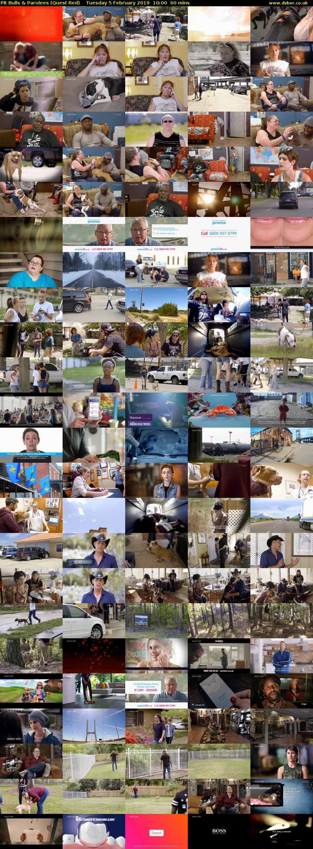 Pit Bulls & Parolees (Quest Red) Tuesday 5 February 2019 10:00 - 11:00