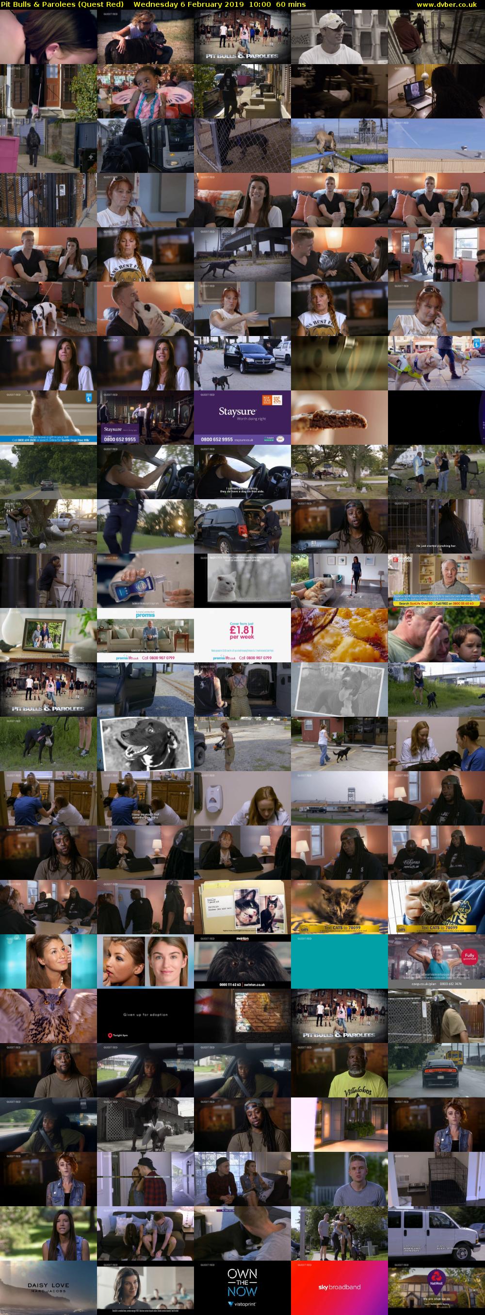 Pit Bulls & Parolees (Quest Red) Wednesday 6 February 2019 10:00 - 11:00