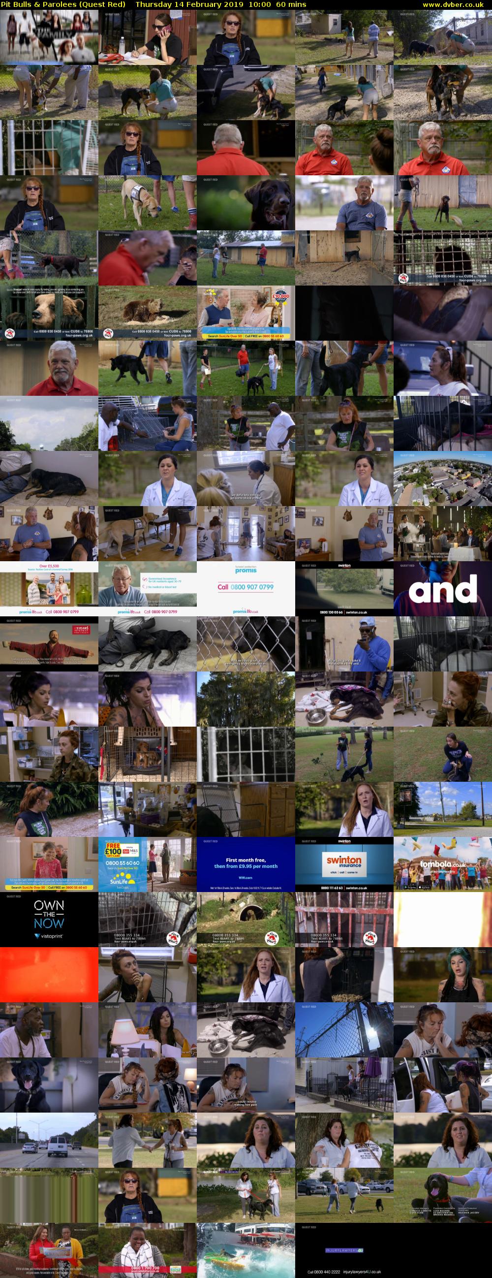 Pit Bulls & Parolees (Quest Red) Thursday 14 February 2019 10:00 - 11:00