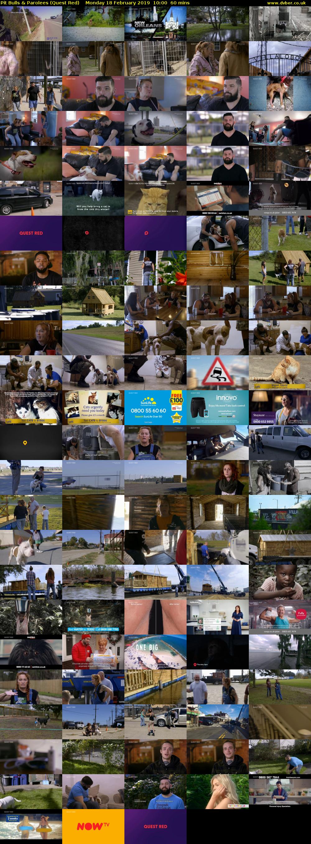 Pit Bulls & Parolees (Quest Red) Monday 18 February 2019 10:00 - 11:00