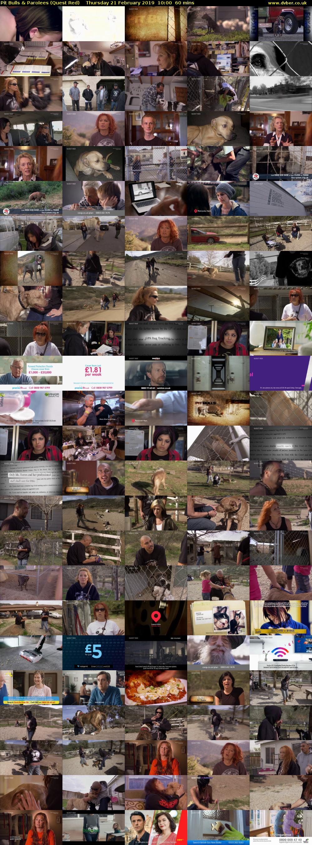 Pit Bulls & Parolees (Quest Red) Thursday 21 February 2019 10:00 - 11:00
