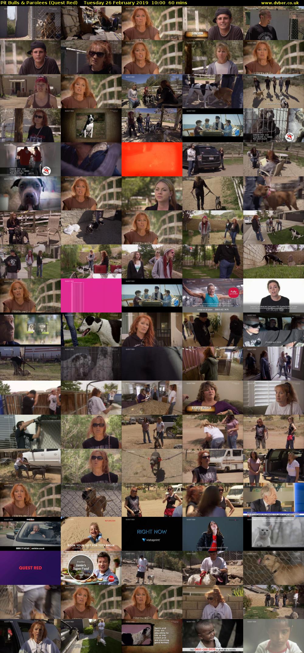 Pit Bulls & Parolees (Quest Red) Tuesday 26 February 2019 10:00 - 11:00