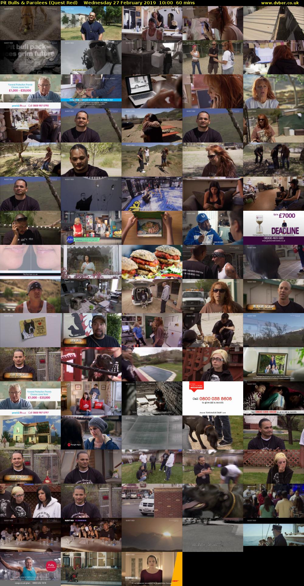 Pit Bulls & Parolees (Quest Red) Wednesday 27 February 2019 10:00 - 11:00
