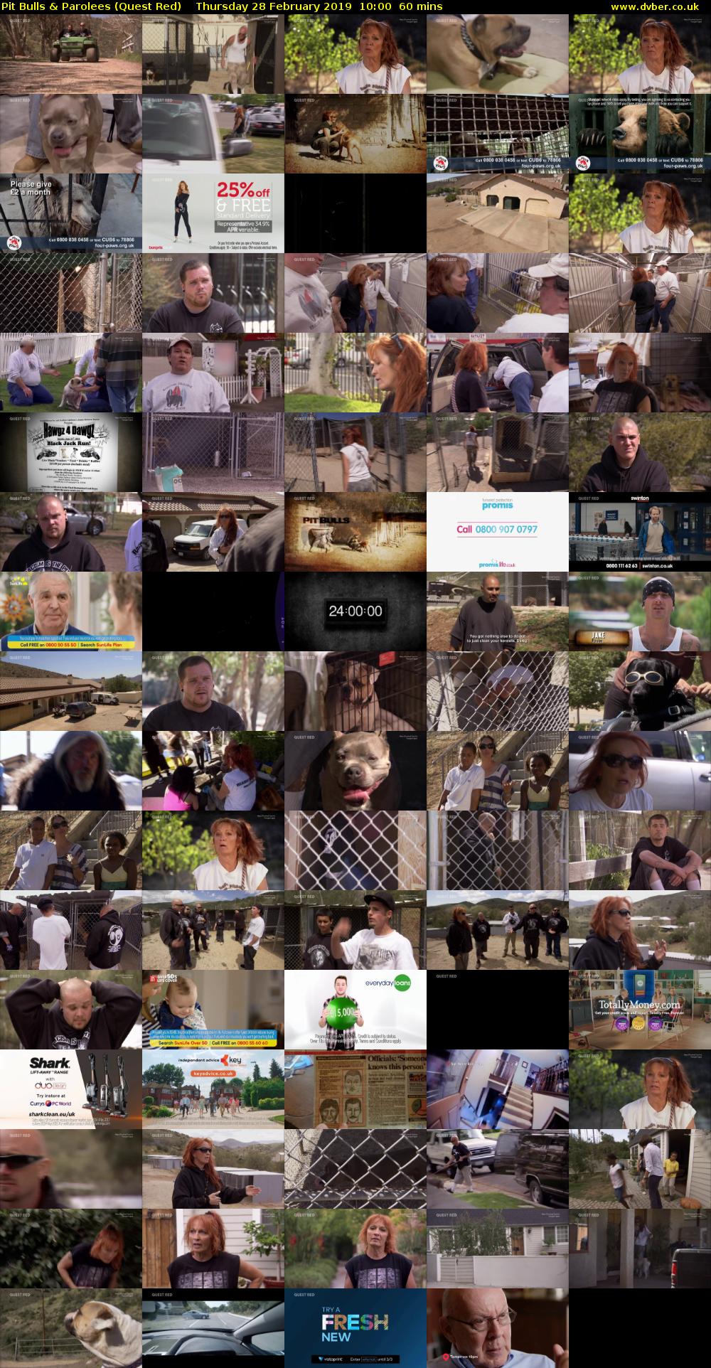 Pit Bulls & Parolees (Quest Red) Thursday 28 February 2019 10:00 - 11:00