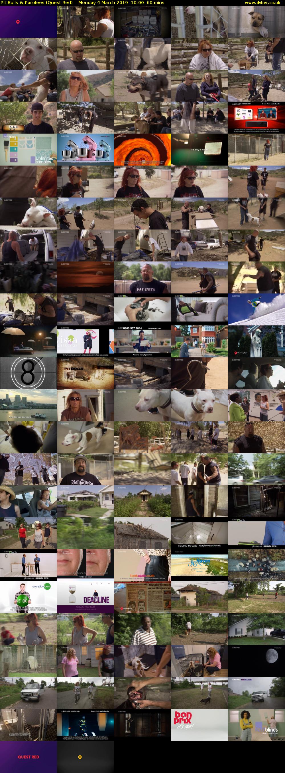Pit Bulls & Parolees (Quest Red) Monday 4 March 2019 10:00 - 11:00