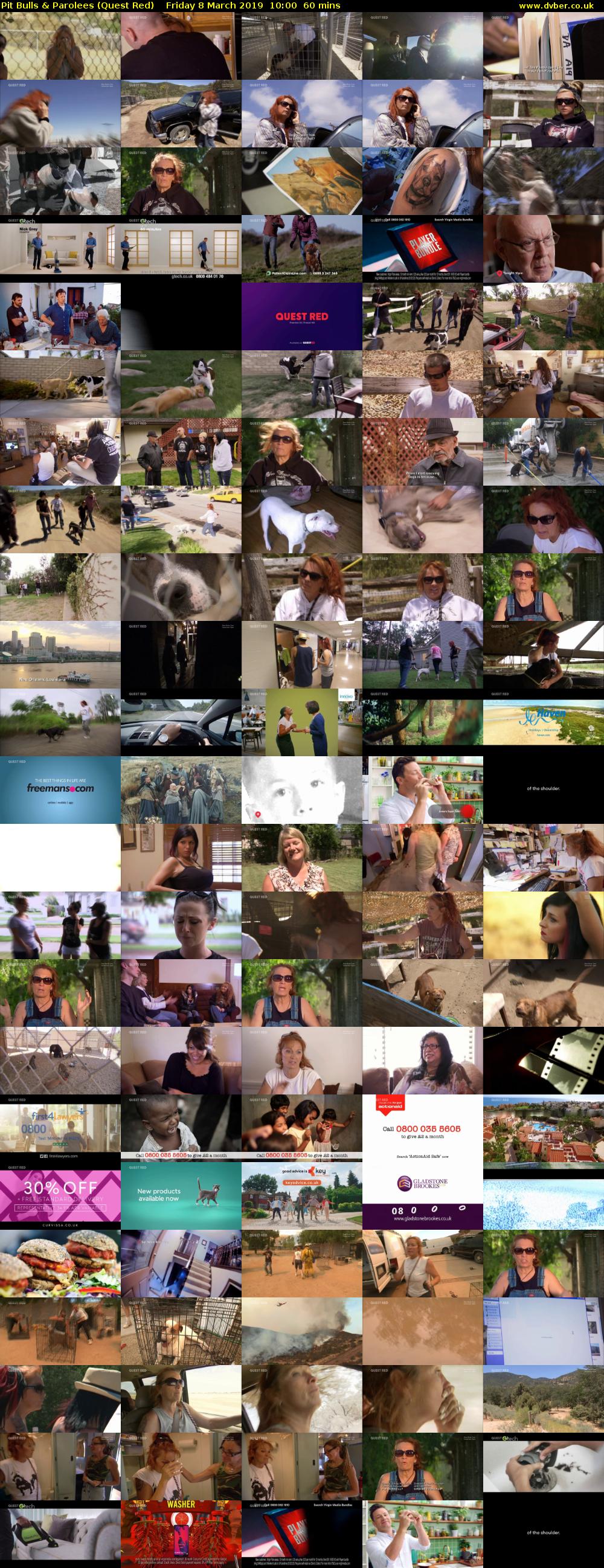 Pit Bulls & Parolees (Quest Red) Friday 8 March 2019 10:00 - 11:00