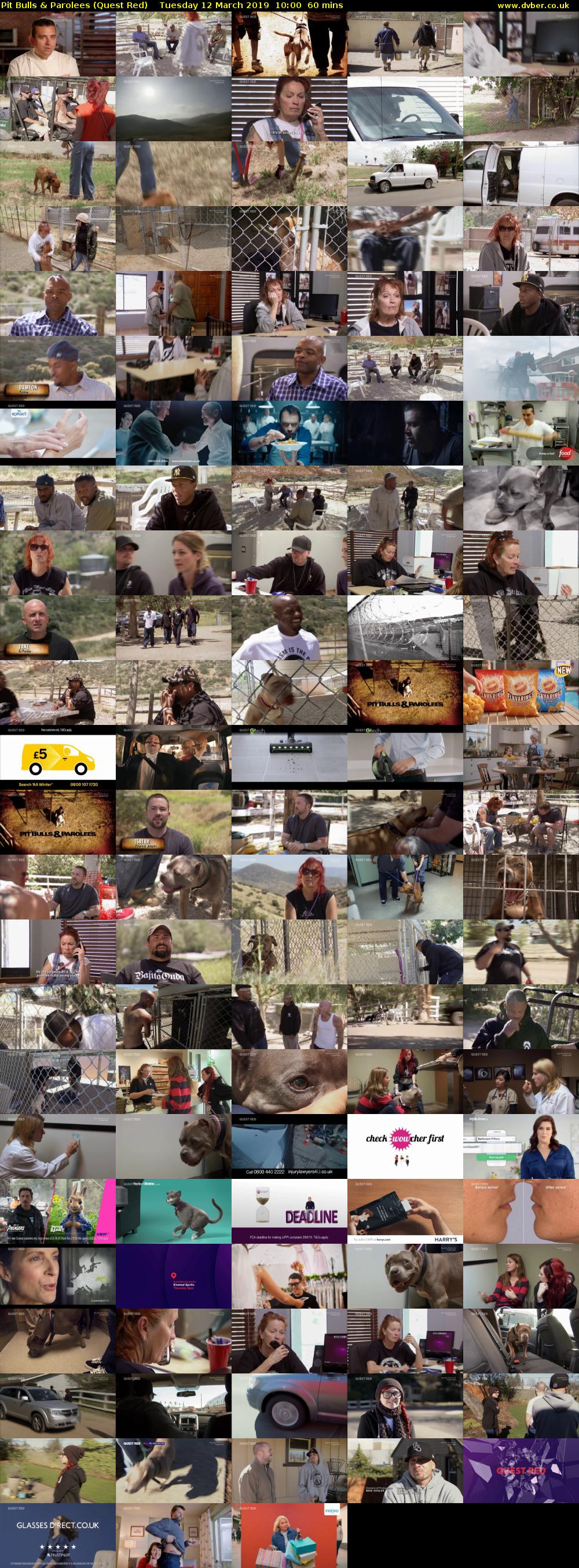 Pit Bulls & Parolees (Quest Red) Tuesday 12 March 2019 10:00 - 11:00