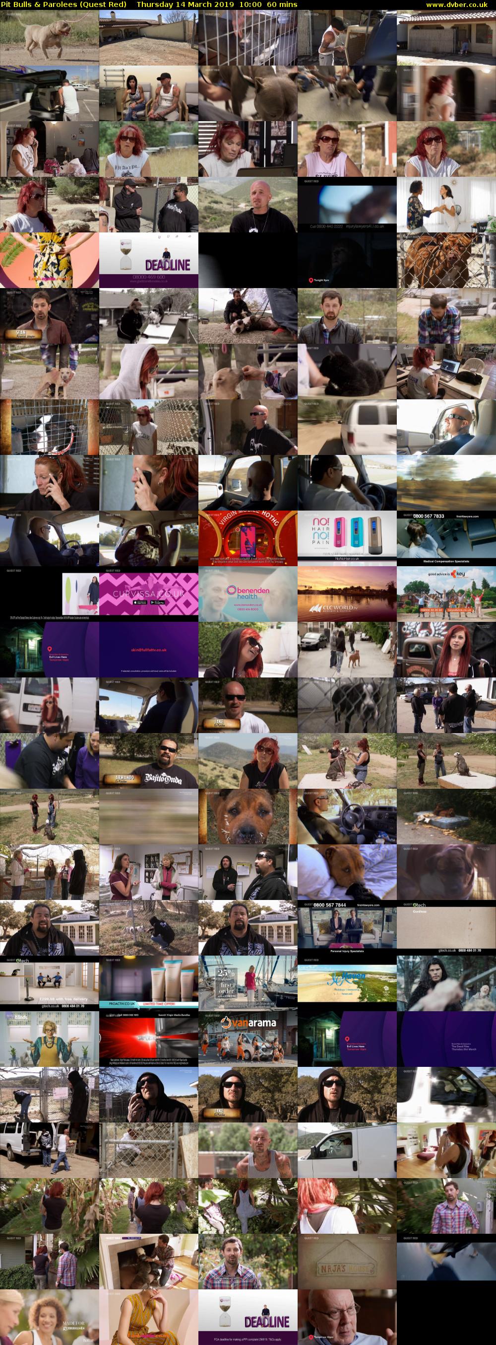 Pit Bulls & Parolees (Quest Red) Thursday 14 March 2019 10:00 - 11:00