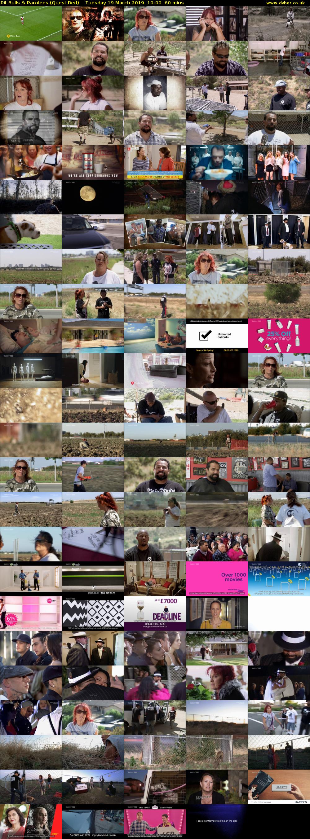 Pit Bulls & Parolees (Quest Red) Tuesday 19 March 2019 10:00 - 11:00