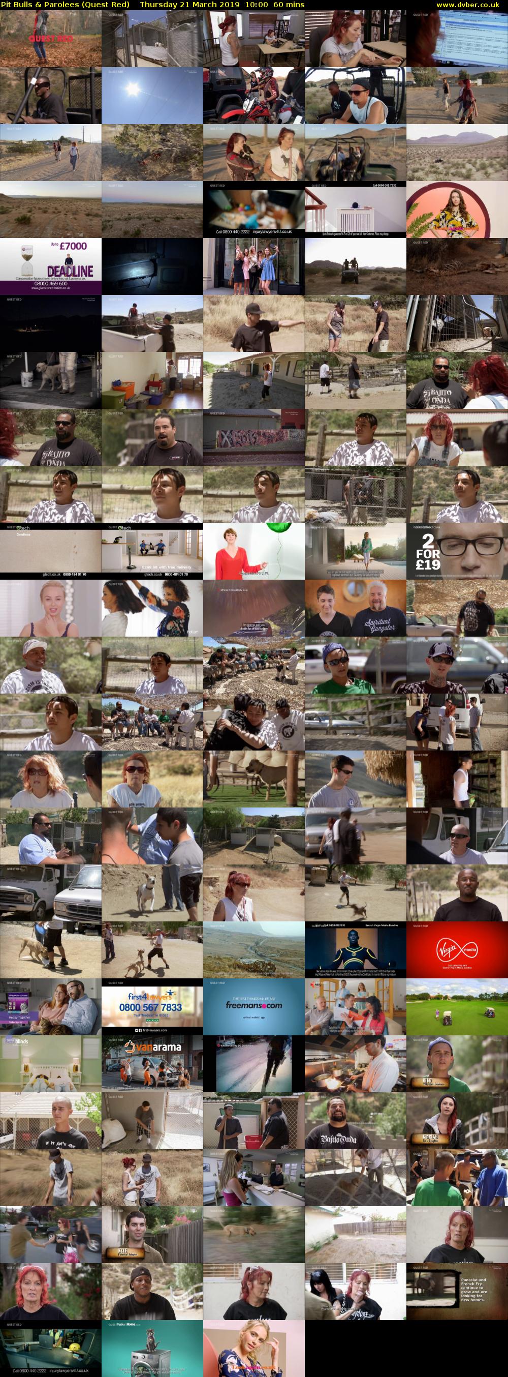 Pit Bulls & Parolees (Quest Red) Thursday 21 March 2019 10:00 - 11:00