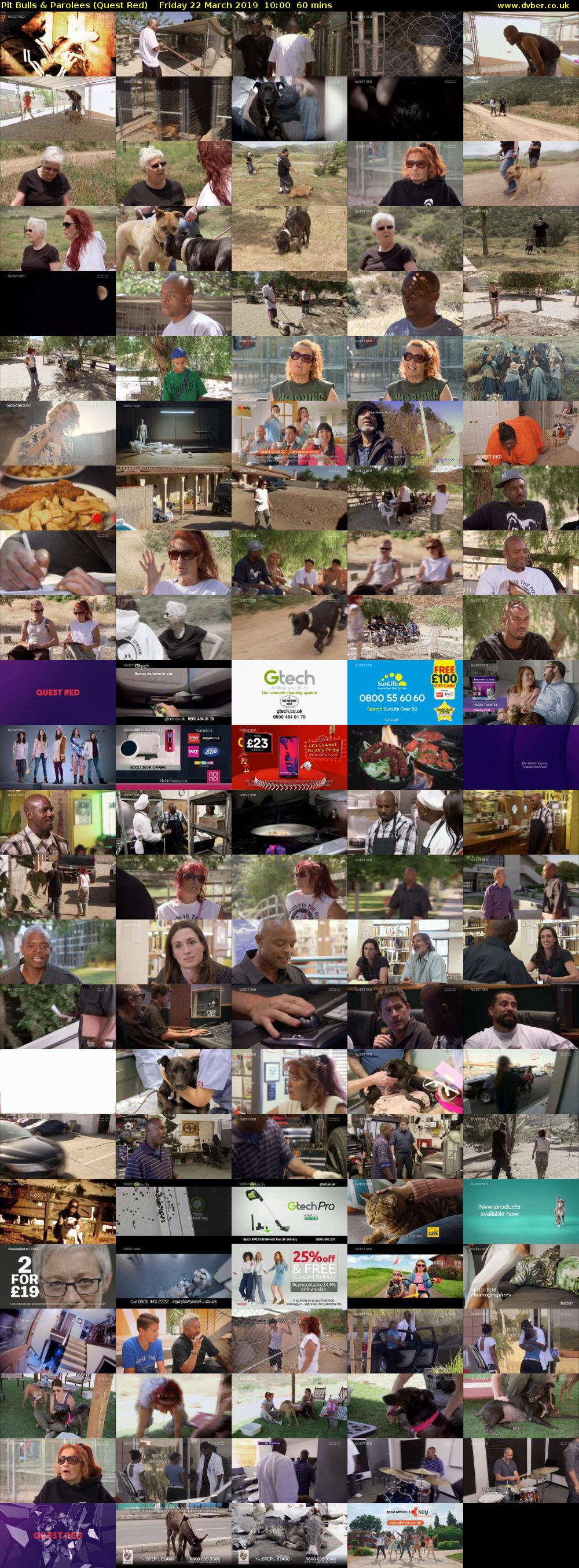 Pit Bulls & Parolees (Quest Red) Friday 22 March 2019 10:00 - 11:00