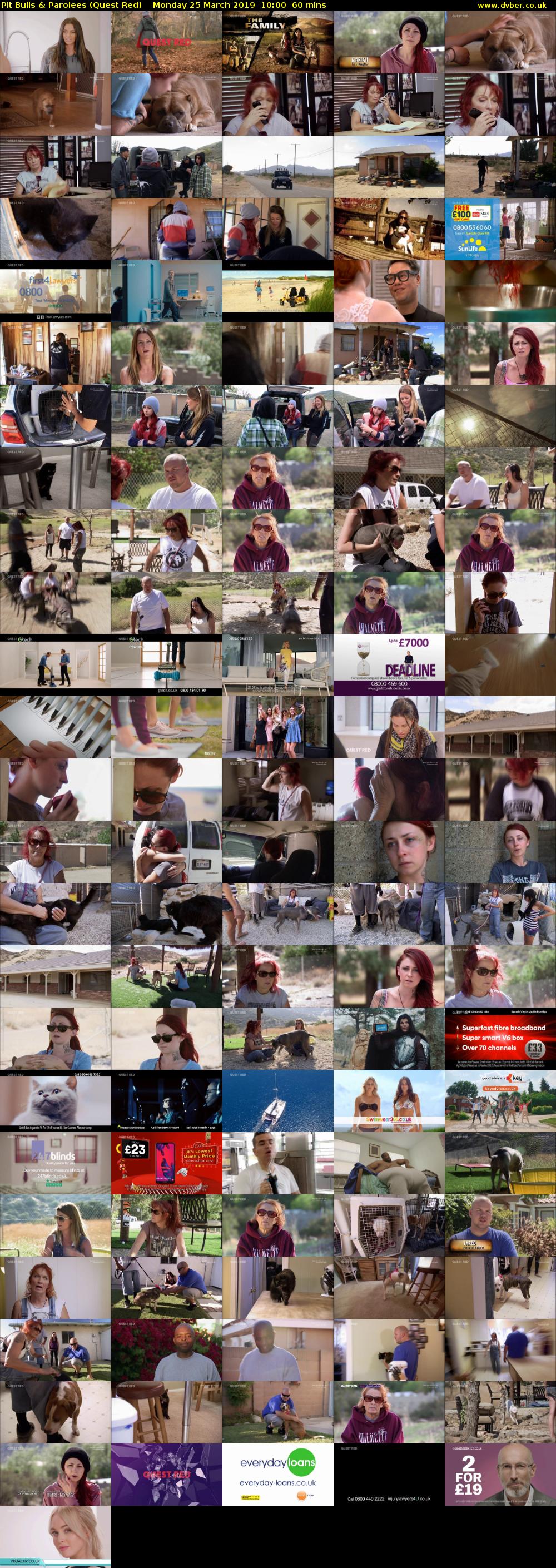 Pit Bulls & Parolees (Quest Red) Monday 25 March 2019 10:00 - 11:00