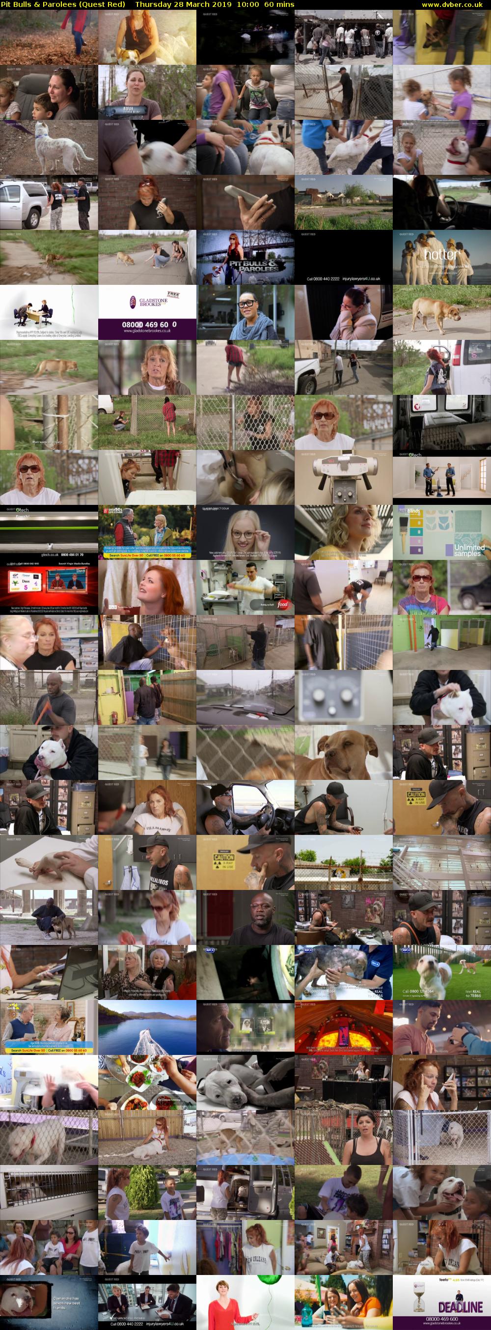 Pit Bulls & Parolees (Quest Red) Thursday 28 March 2019 10:00 - 11:00