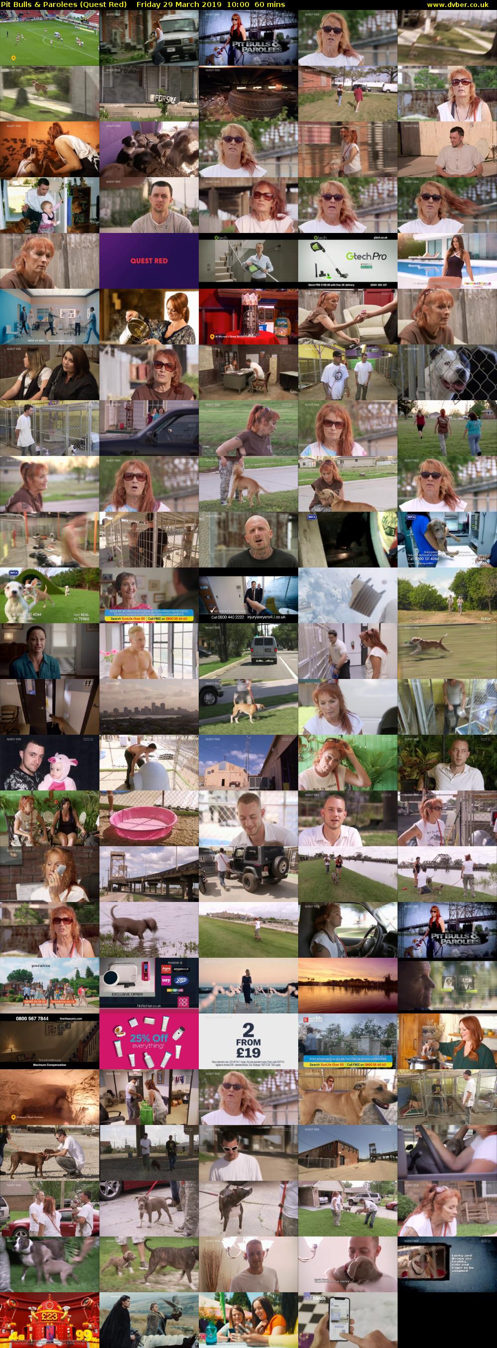 Pit Bulls & Parolees (Quest Red) Friday 29 March 2019 10:00 - 11:00