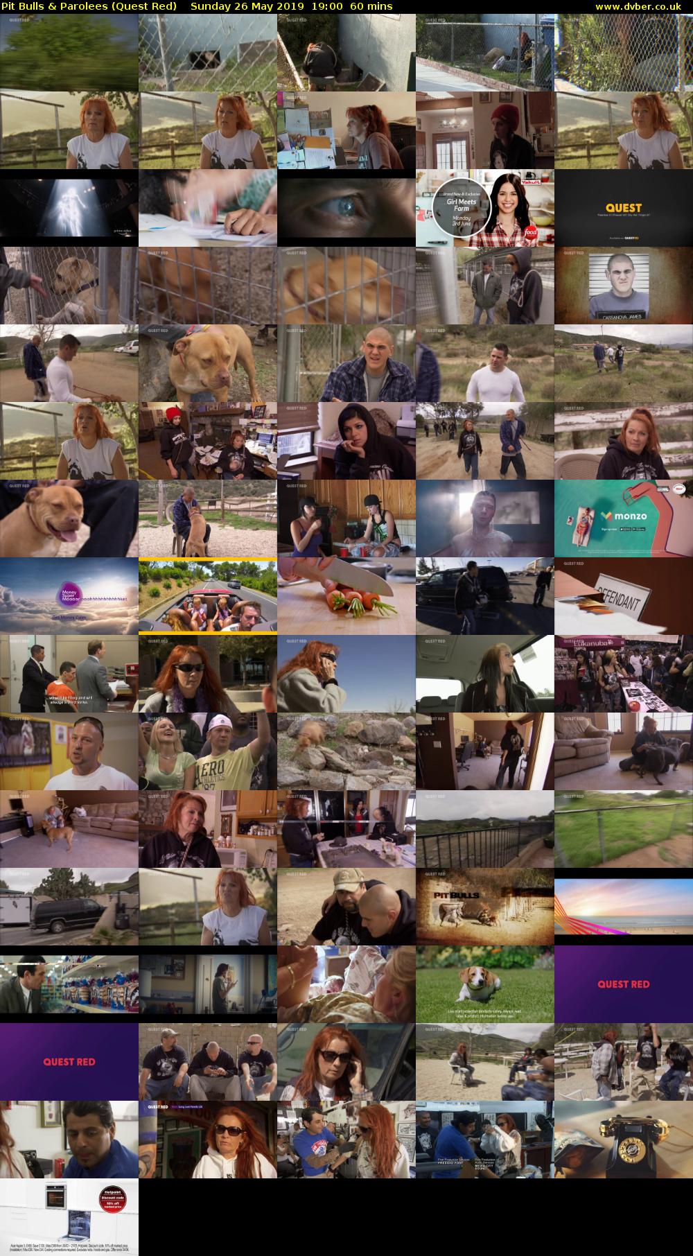 Pit Bulls & Parolees (Quest Red) Sunday 26 May 2019 19:00 - 20:00