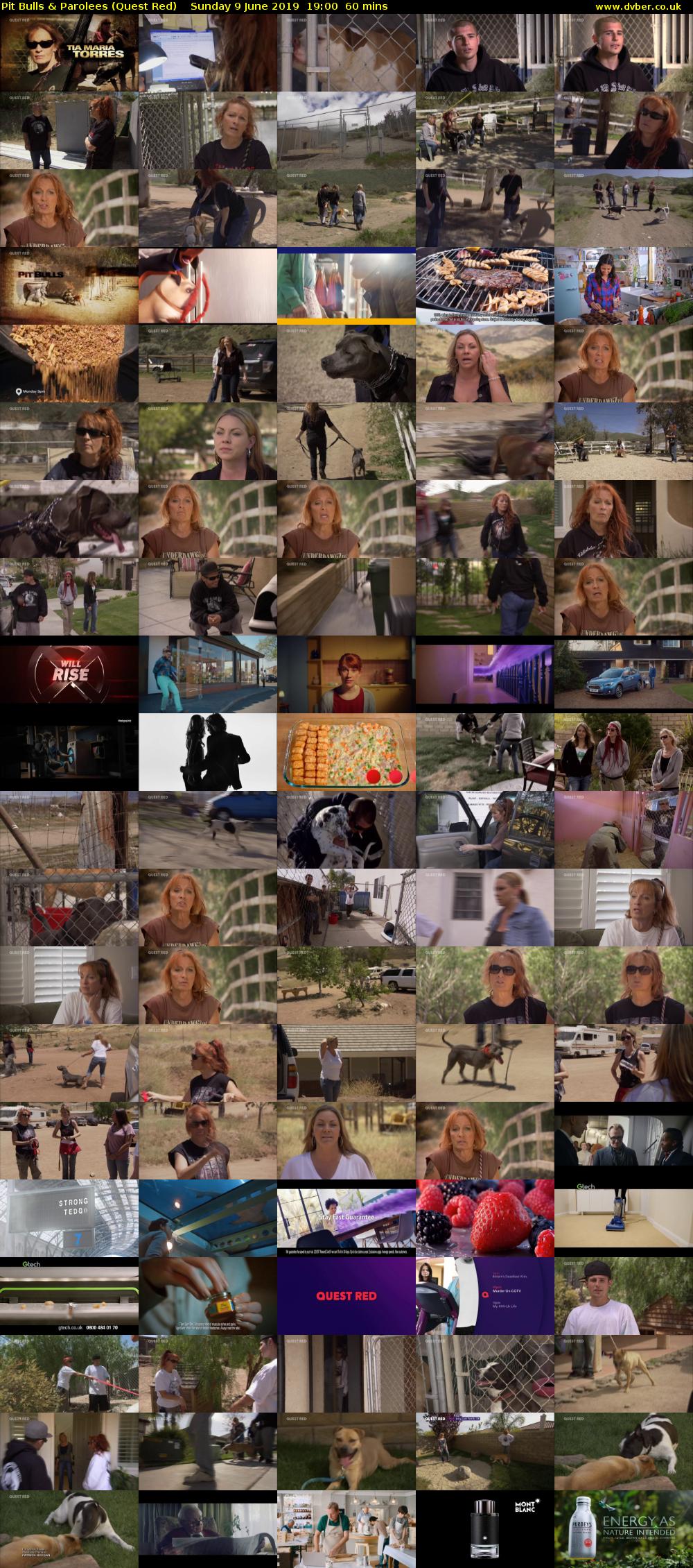Pit Bulls & Parolees (Quest Red) Sunday 9 June 2019 19:00 - 20:00