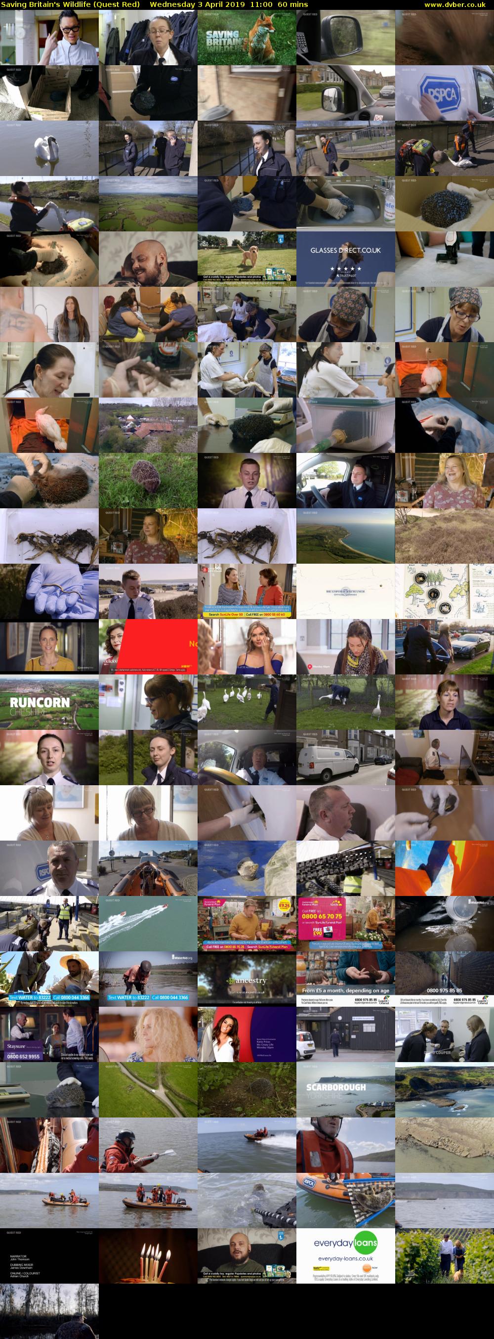 Saving Britain's Wildlife (Quest Red) Wednesday 3 April 2019 11:00 - 12:00