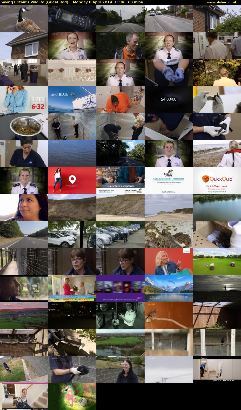 Saving Britain's Wildlife (Quest Red) Monday 8 April 2019 11:00 - 12:00