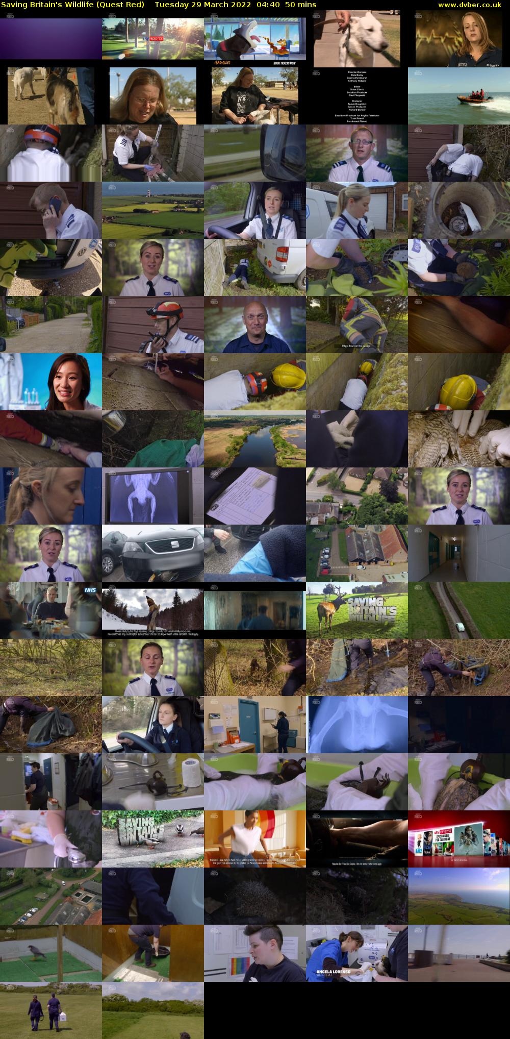 Saving Britain's Wildlife (Quest Red) Tuesday 29 March 2022 04:40 - 05:30