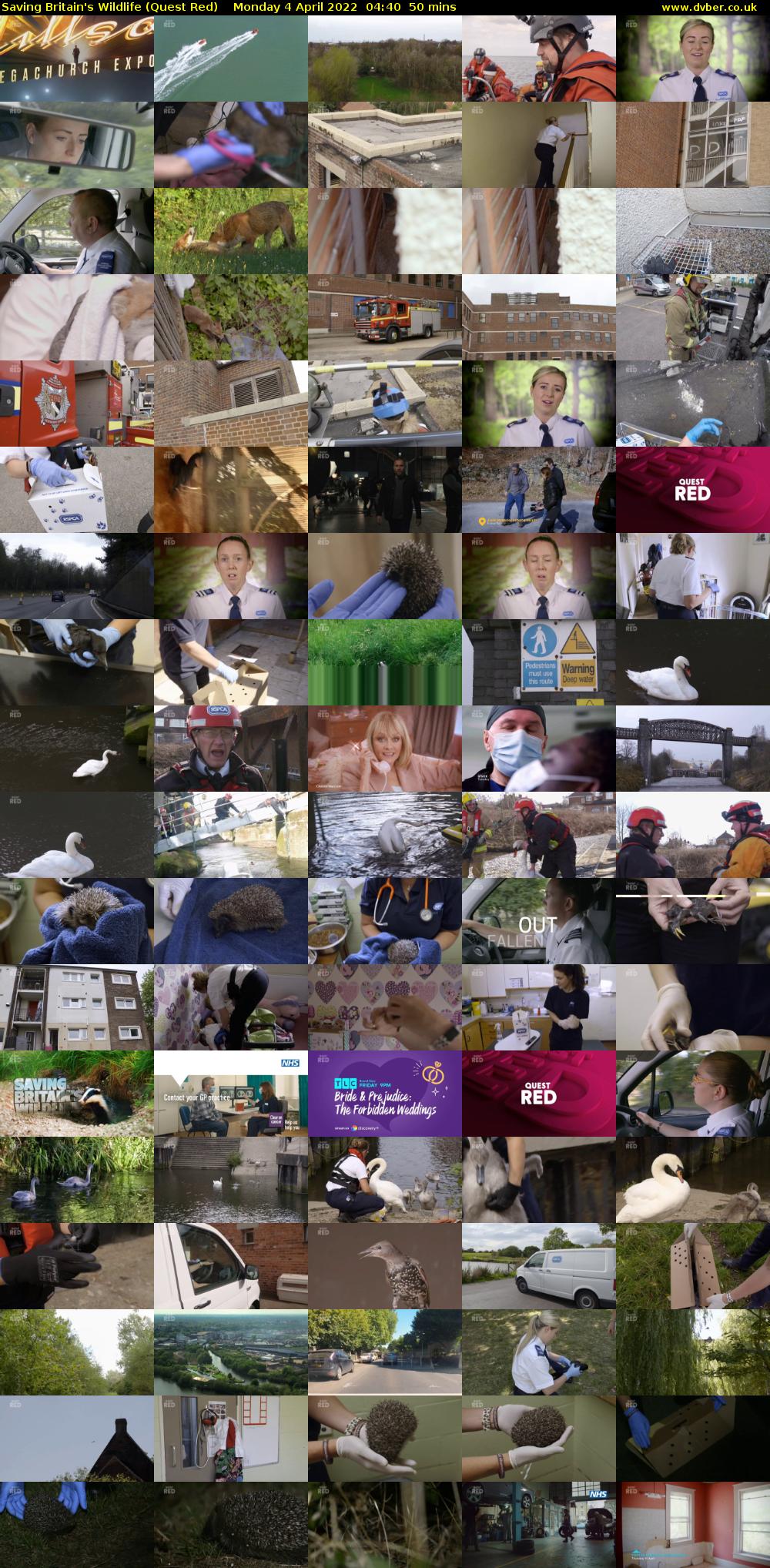 Saving Britain's Wildlife (Quest Red) Monday 4 April 2022 04:40 - 05:30
