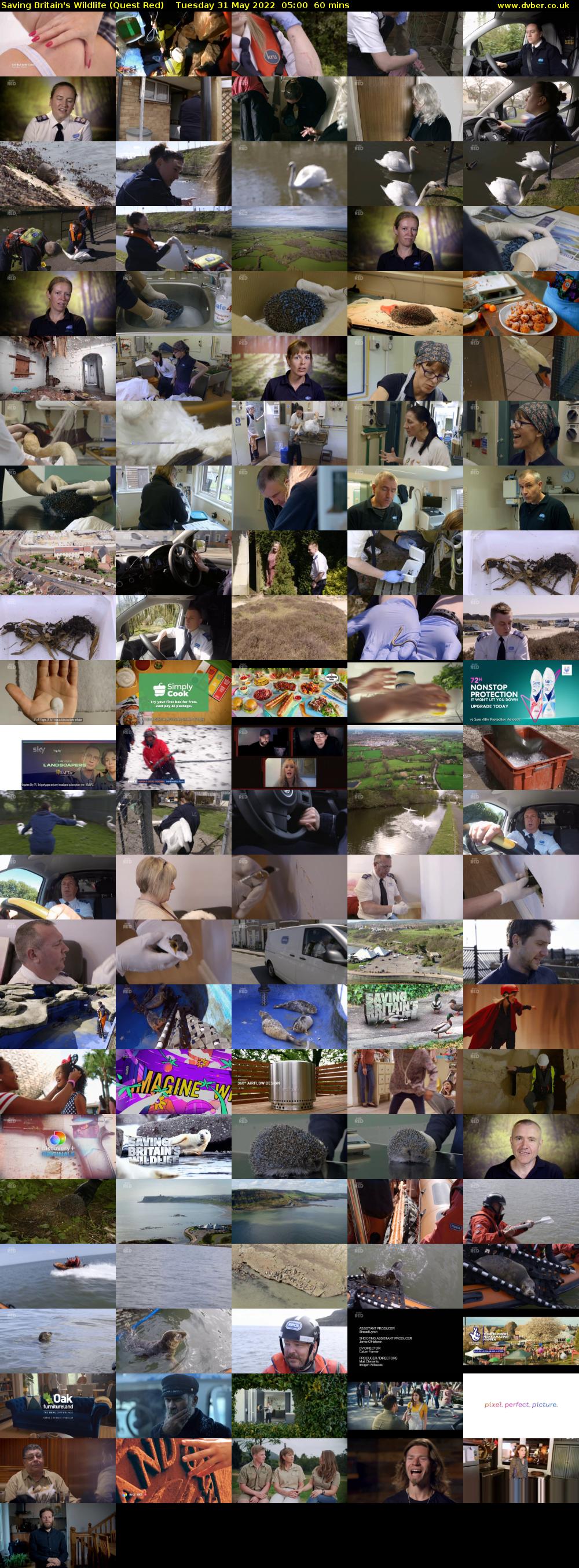 Saving Britain's Wildlife (Quest Red) Tuesday 31 May 2022 05:00 - 06:00