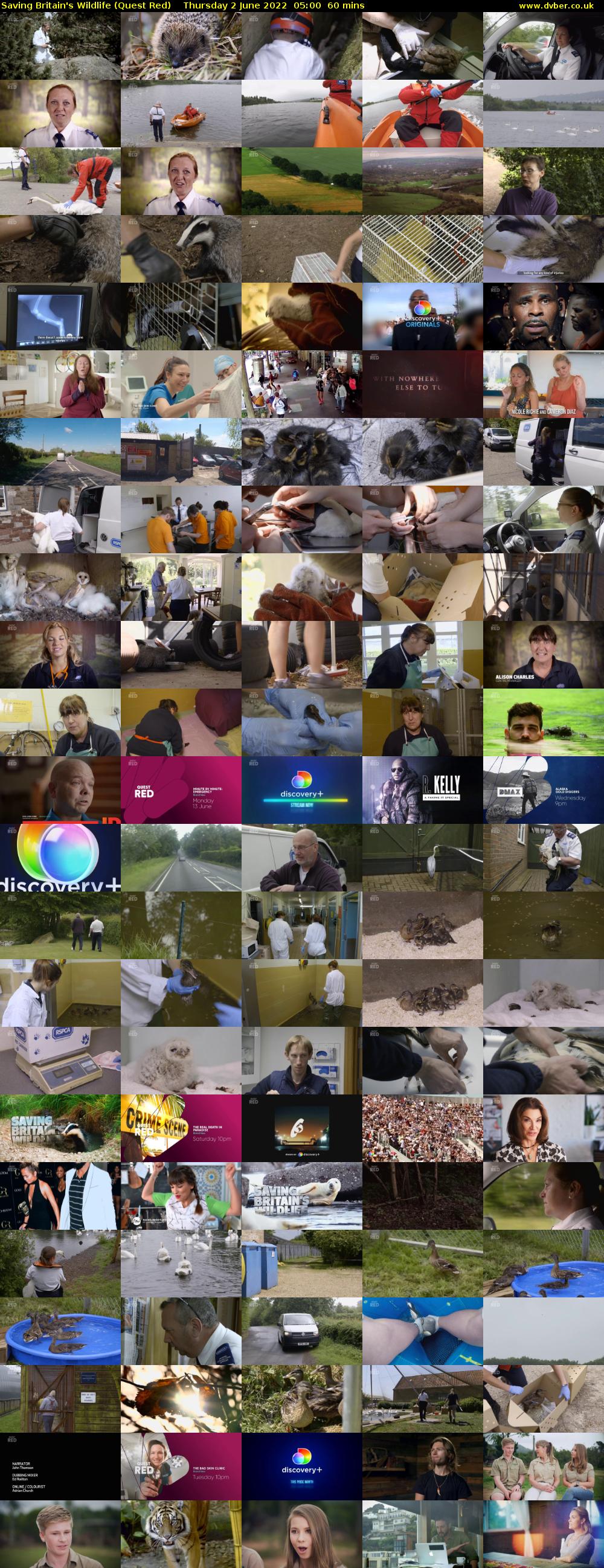 Saving Britain's Wildlife (Quest Red) Thursday 2 June 2022 05:00 - 06:00