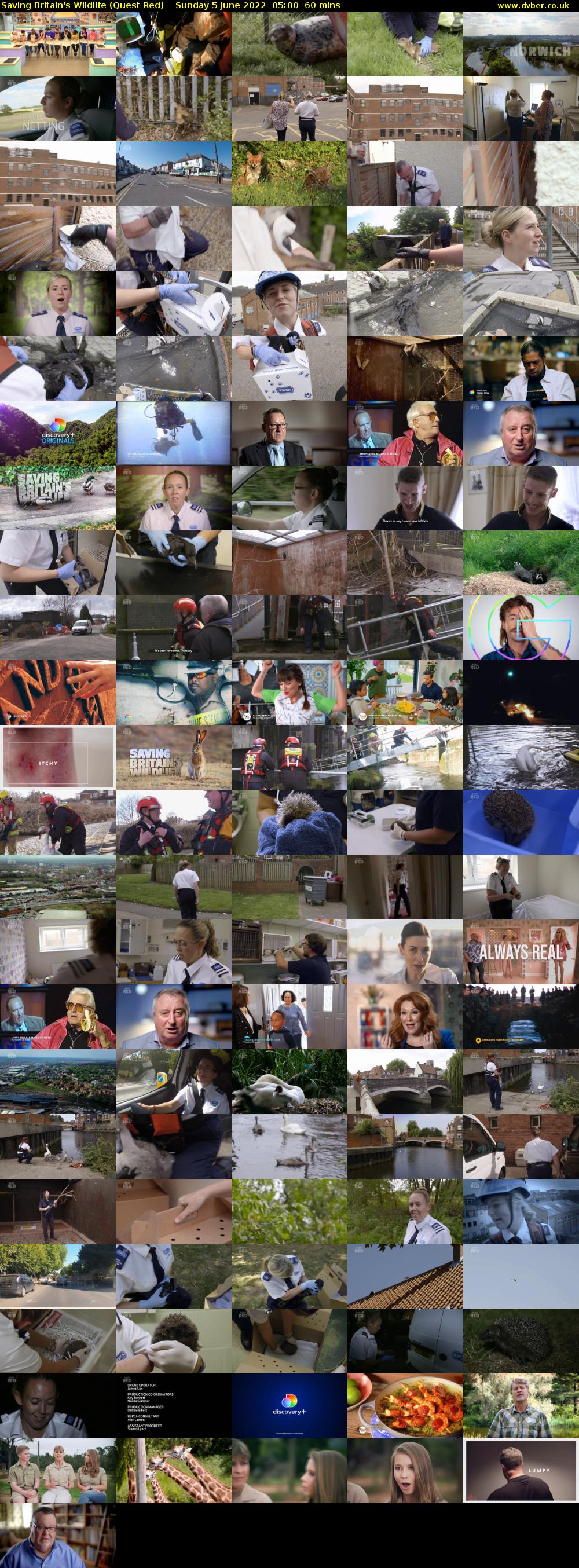 Saving Britain's Wildlife (Quest Red) Sunday 5 June 2022 05:00 - 06:00