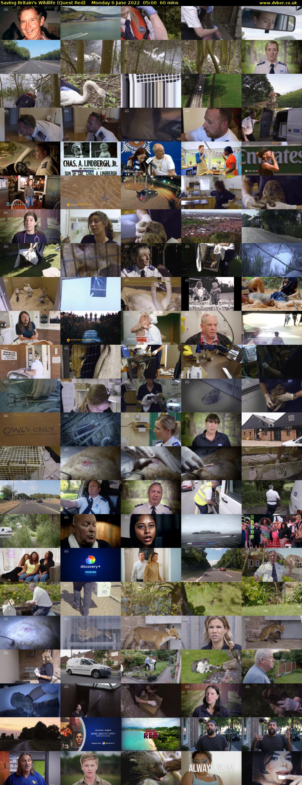 Saving Britain's Wildlife (Quest Red) Monday 6 June 2022 05:00 - 06:00