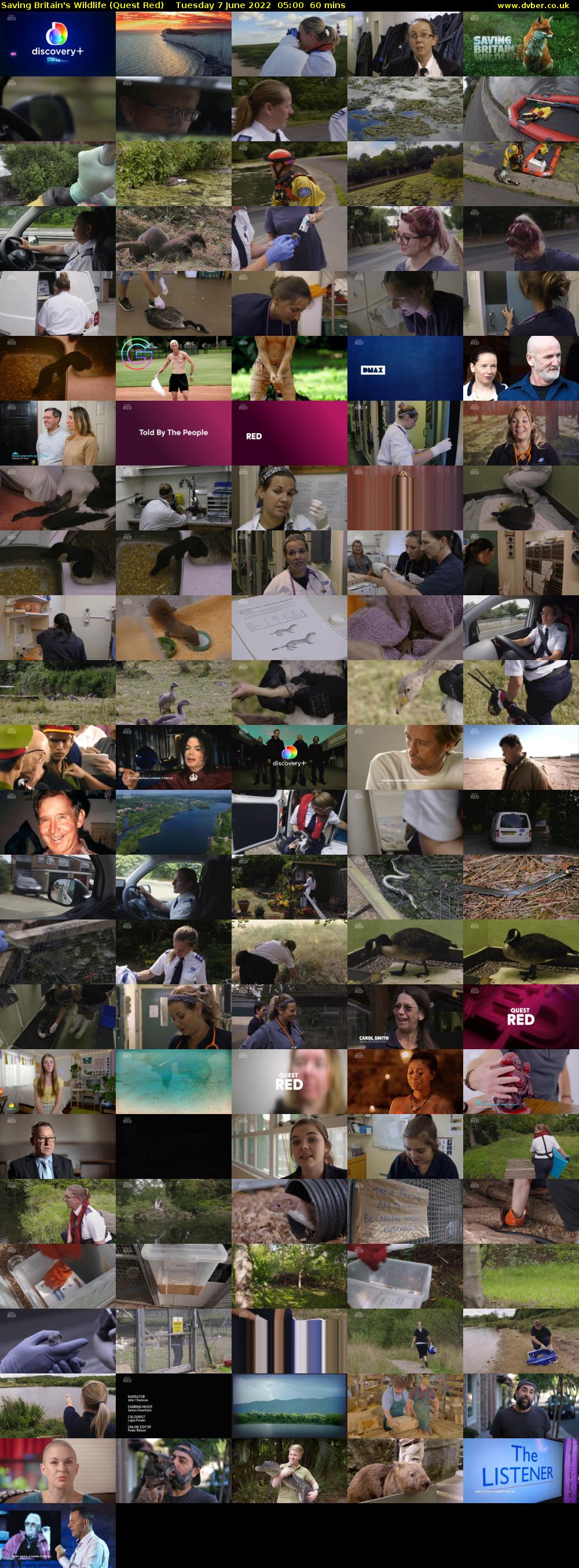 Saving Britain's Wildlife (Quest Red) Tuesday 7 June 2022 05:00 - 06:00