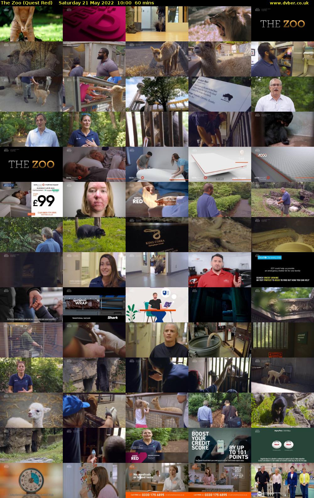 The Zoo (Quest Red) Saturday 21 May 2022 10:00 - 11:00