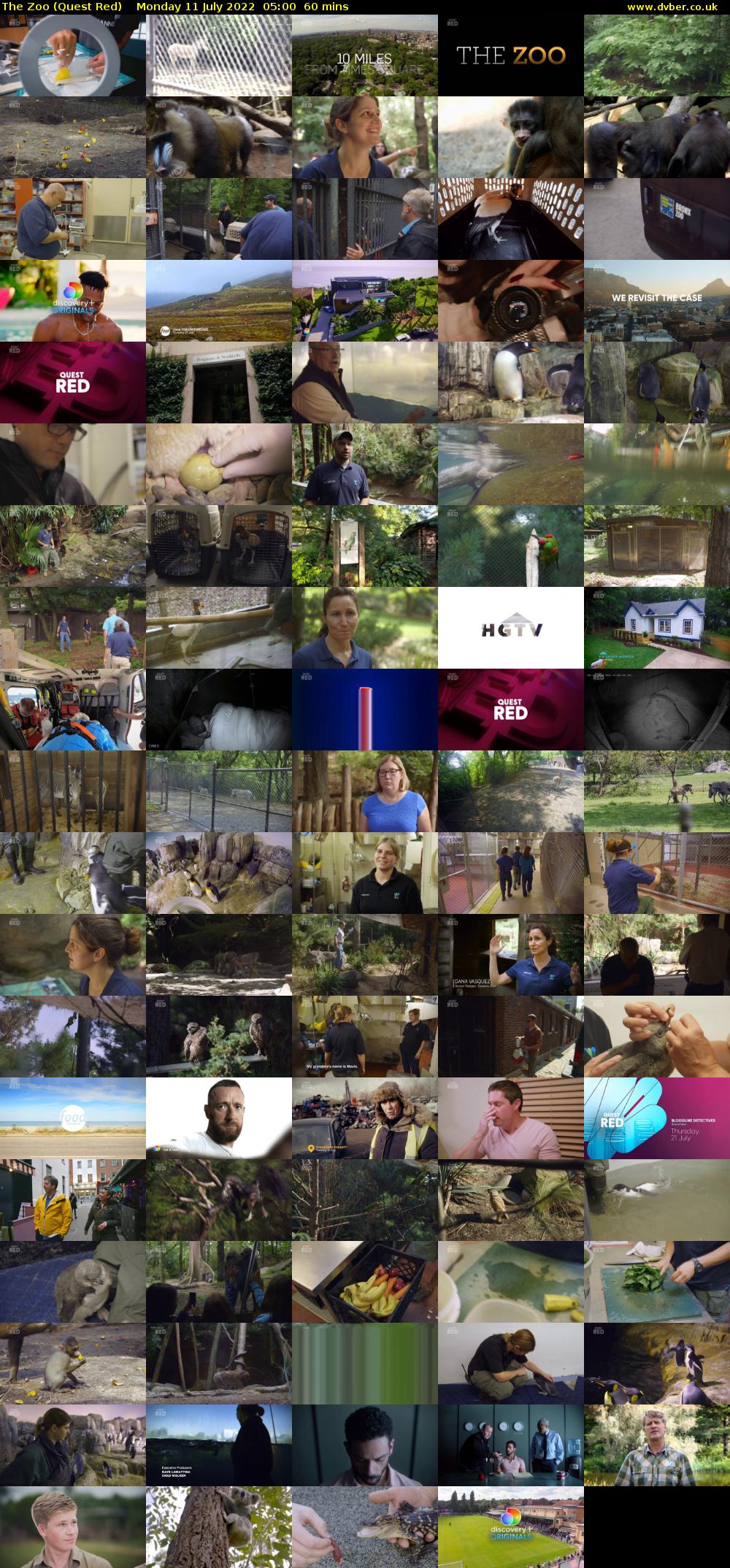 The Zoo (Quest Red) Monday 11 July 2022 05:00 - 06:00