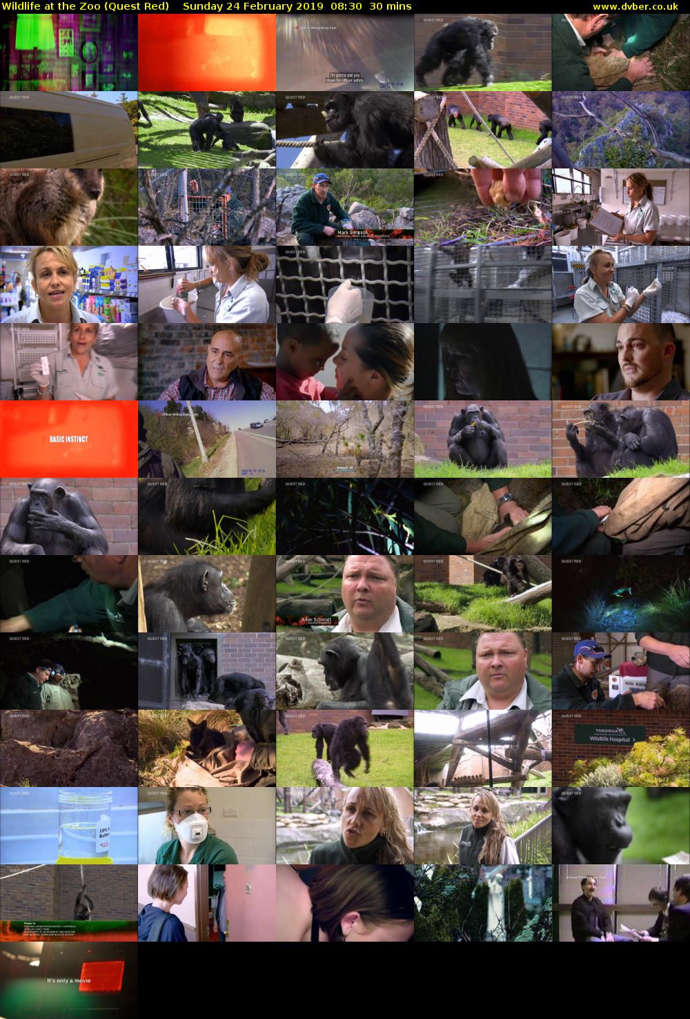 Wildlife at the Zoo (Quest Red) Sunday 24 February 2019 08:30 - 09:00