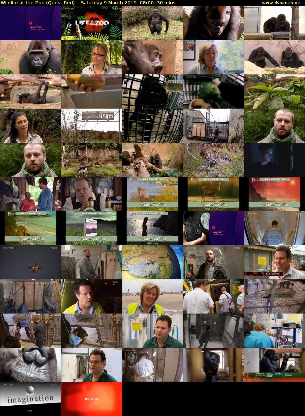 Wildlife at the Zoo (Quest Red) Saturday 9 March 2019 08:00 - 08:30