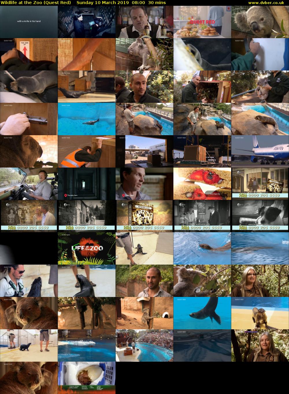 Wildlife at the Zoo (Quest Red) Sunday 10 March 2019 08:00 - 08:30