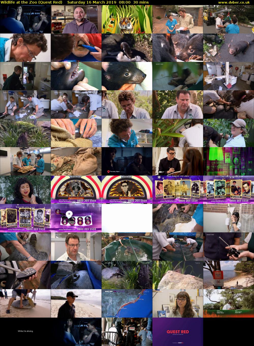 Wildlife at the Zoo (Quest Red) Saturday 16 March 2019 08:00 - 08:30