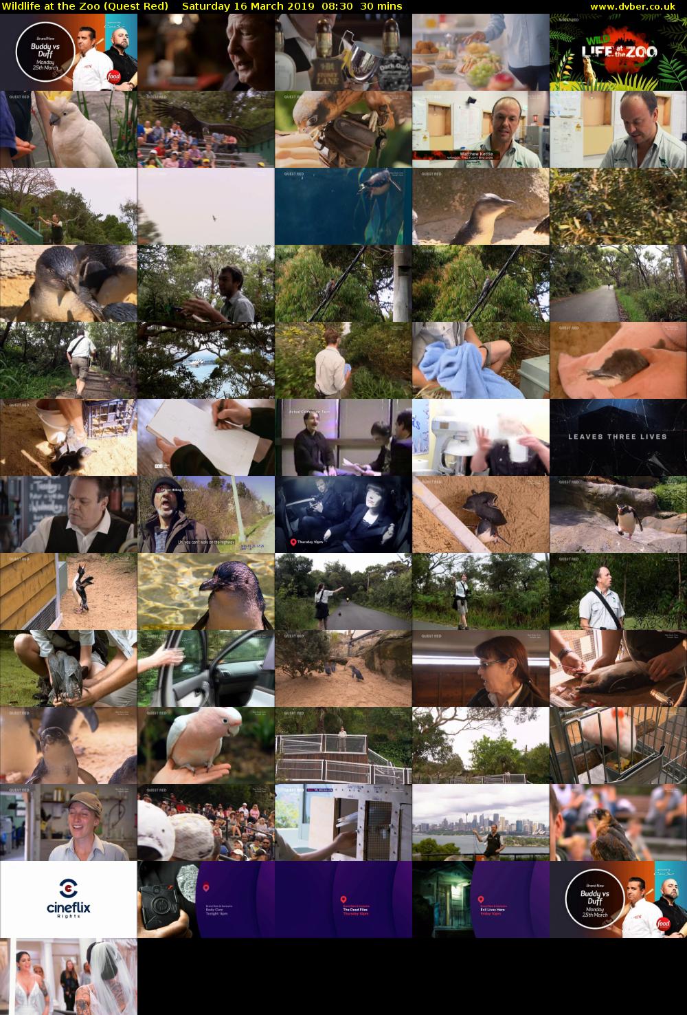 Wildlife at the Zoo (Quest Red) Saturday 16 March 2019 08:30 - 09:00