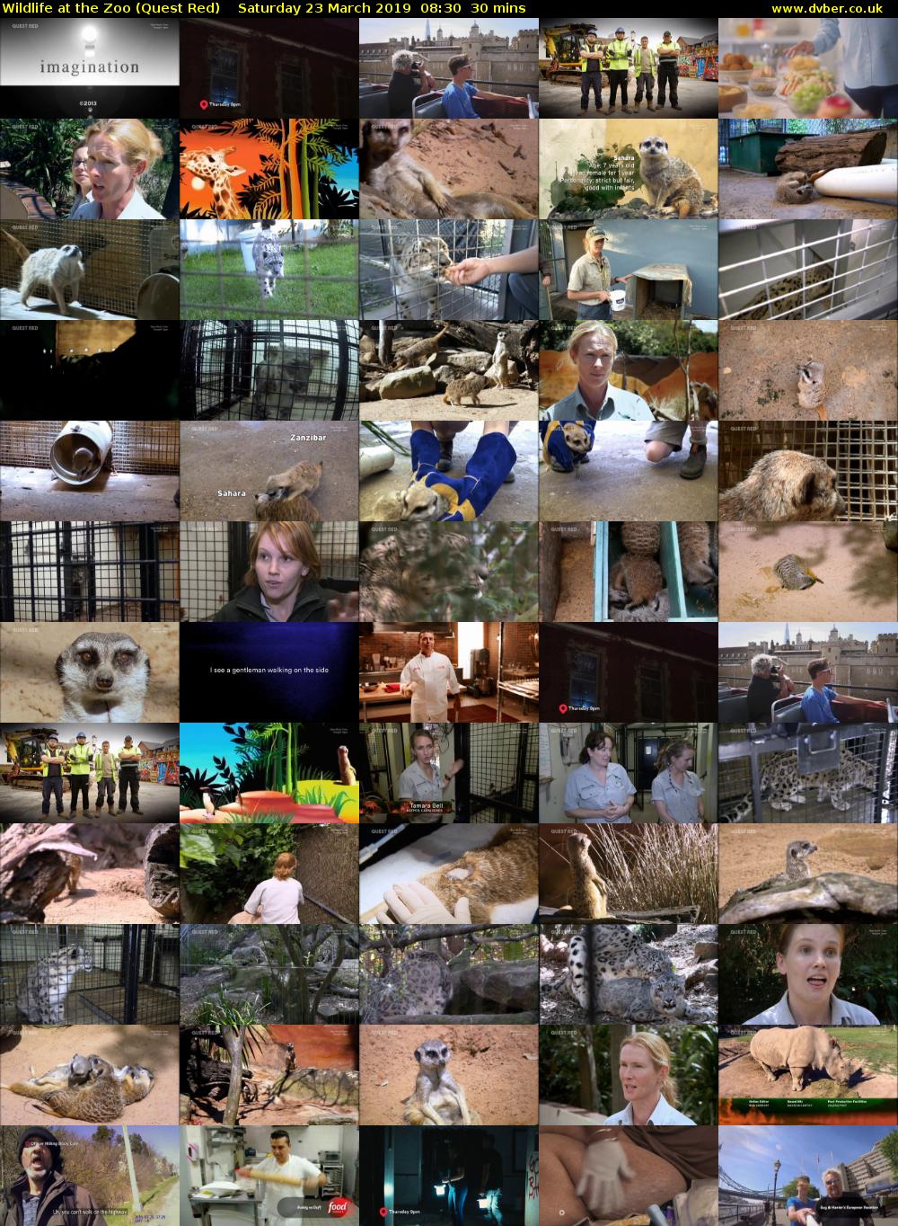 Wildlife at the Zoo (Quest Red) Saturday 23 March 2019 08:30 - 09:00