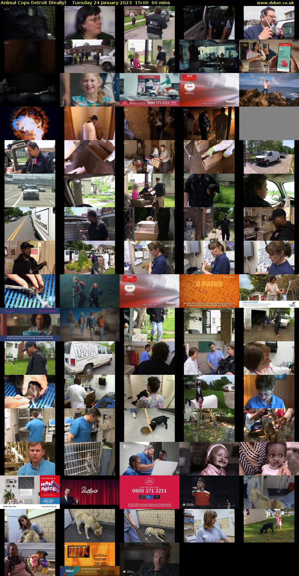 Animal Cops Detroit (Really) Tuesday 24 January 2023 15:00 - 16:00