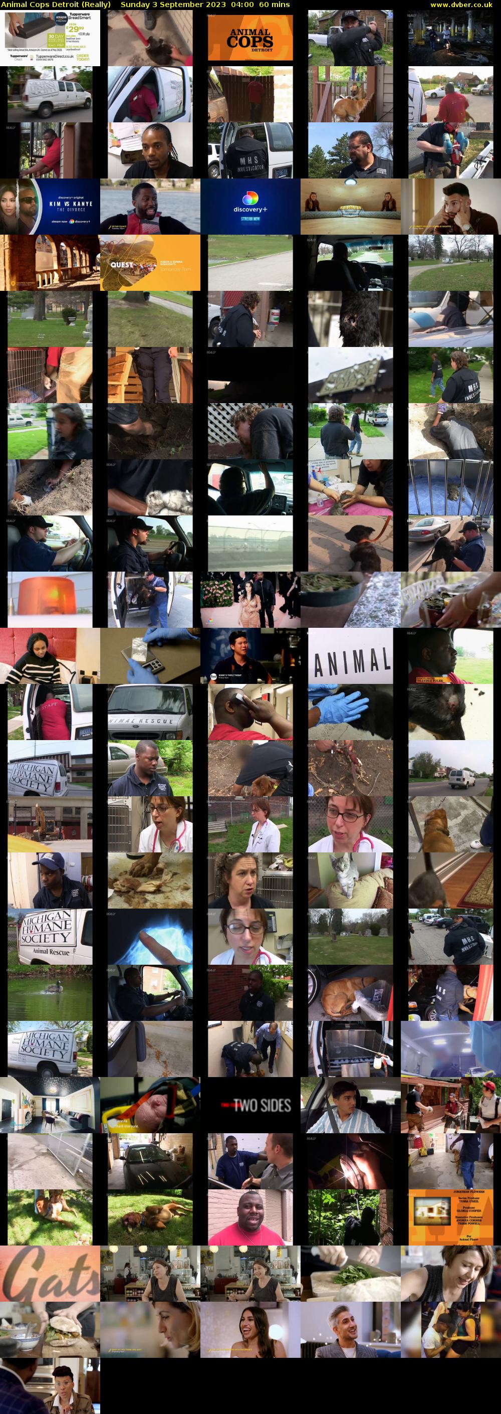 Animal Cops Detroit (Really) Sunday 3 September 2023 04:00 - 05:00