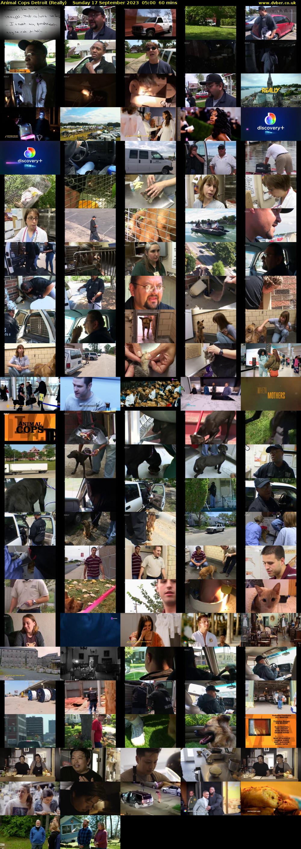 Animal Cops Detroit (Really) Sunday 17 September 2023 05:00 - 06:00
