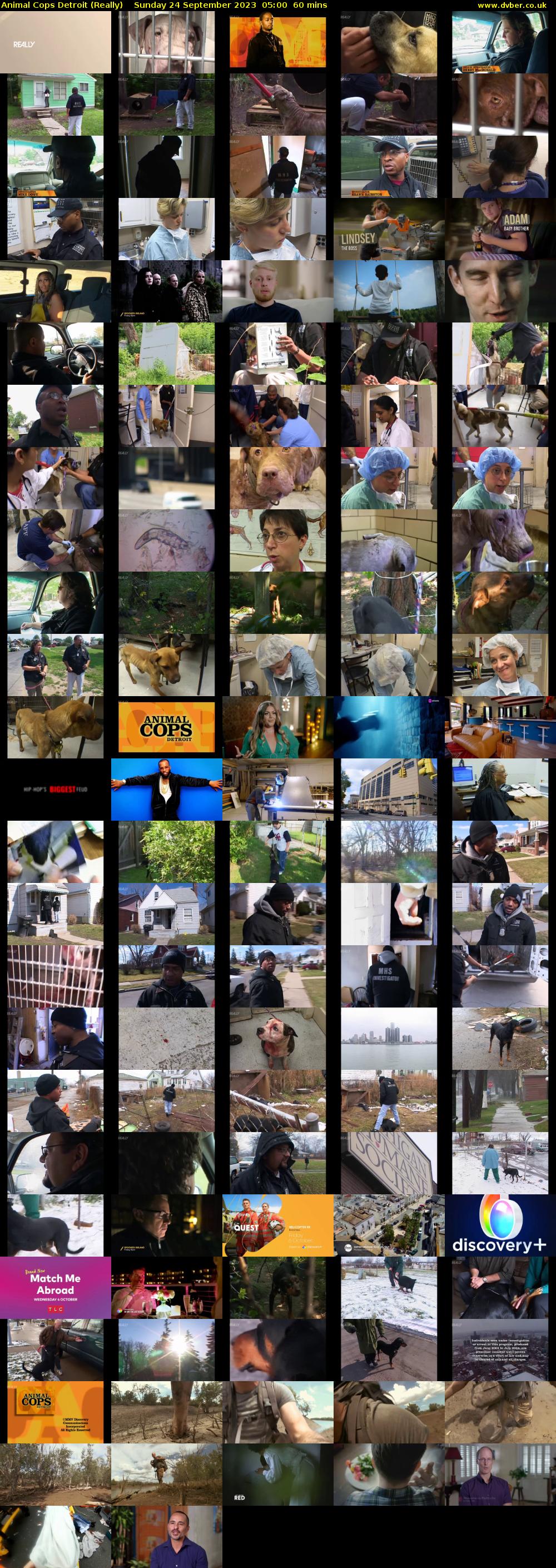 Animal Cops Detroit (Really) Sunday 24 September 2023 05:00 - 06:00