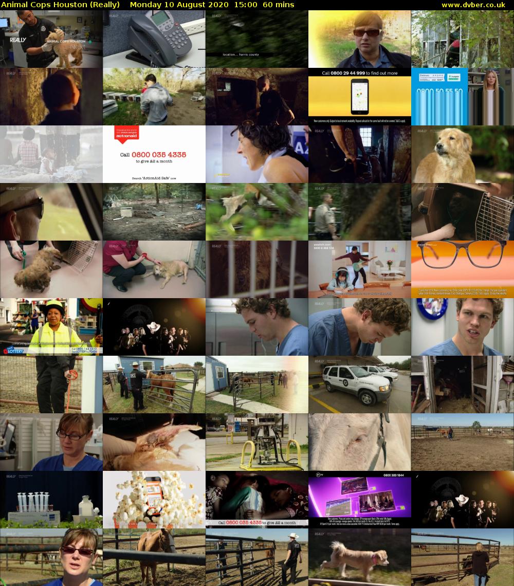 Animal Cops Houston (Really) Monday 10 August 2020 15:00 - 16:00