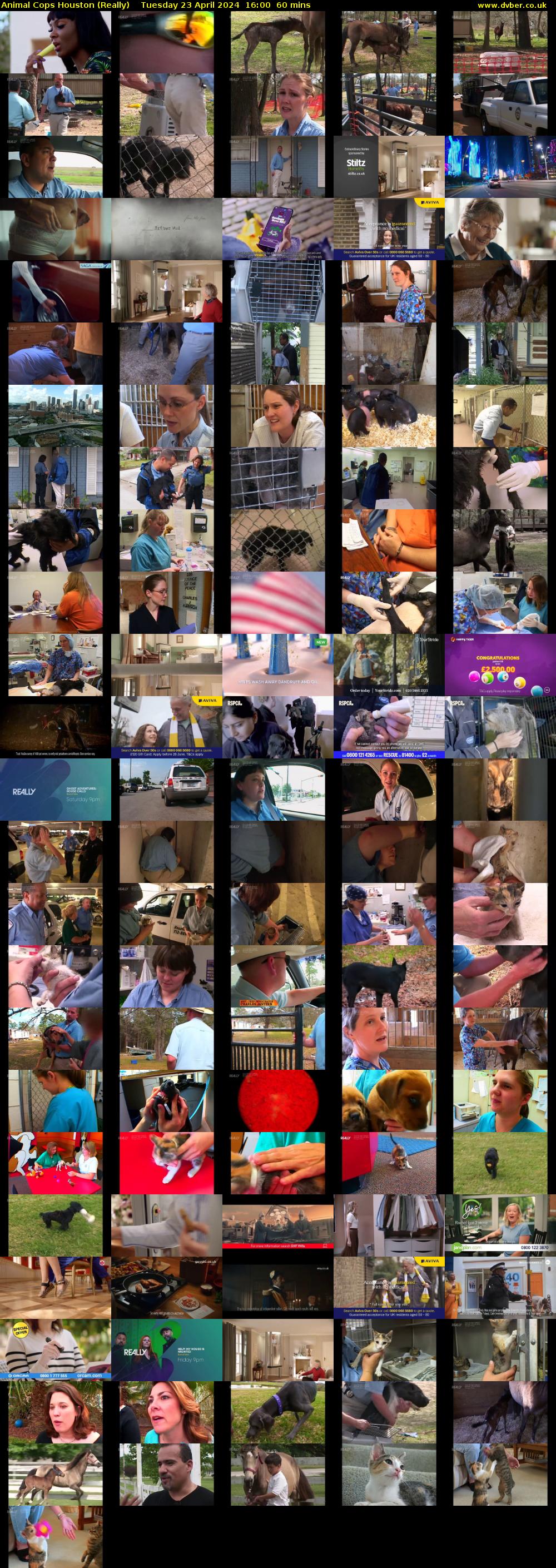 Animal Cops Houston (Really) Tuesday 23 April 2024 16:00 - 17:00