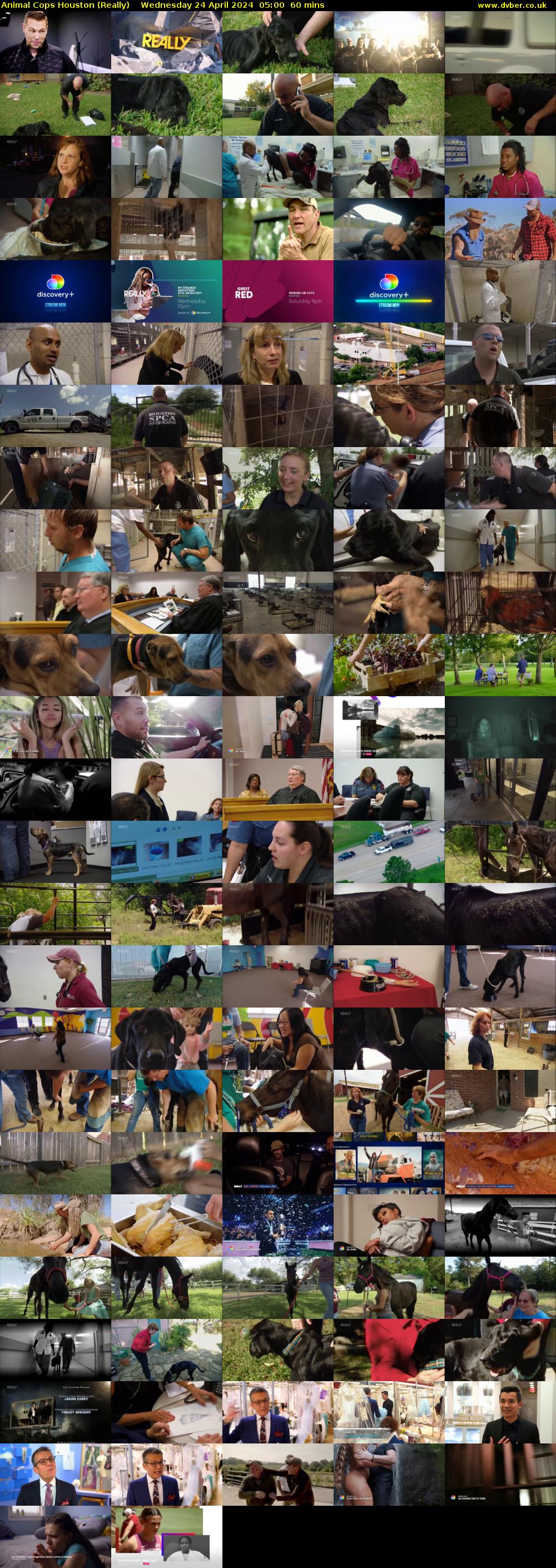 Animal Cops Houston (Really) Wednesday 24 April 2024 05:00 - 06:00