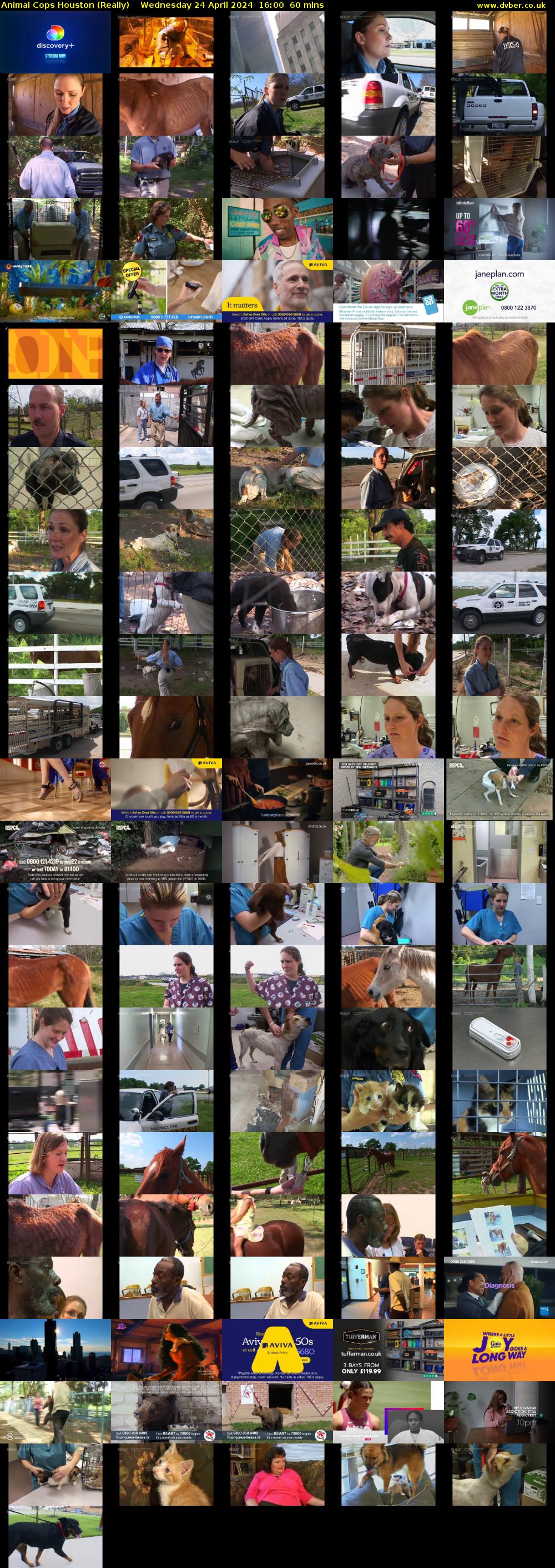 Animal Cops Houston (Really) Wednesday 24 April 2024 16:00 - 17:00