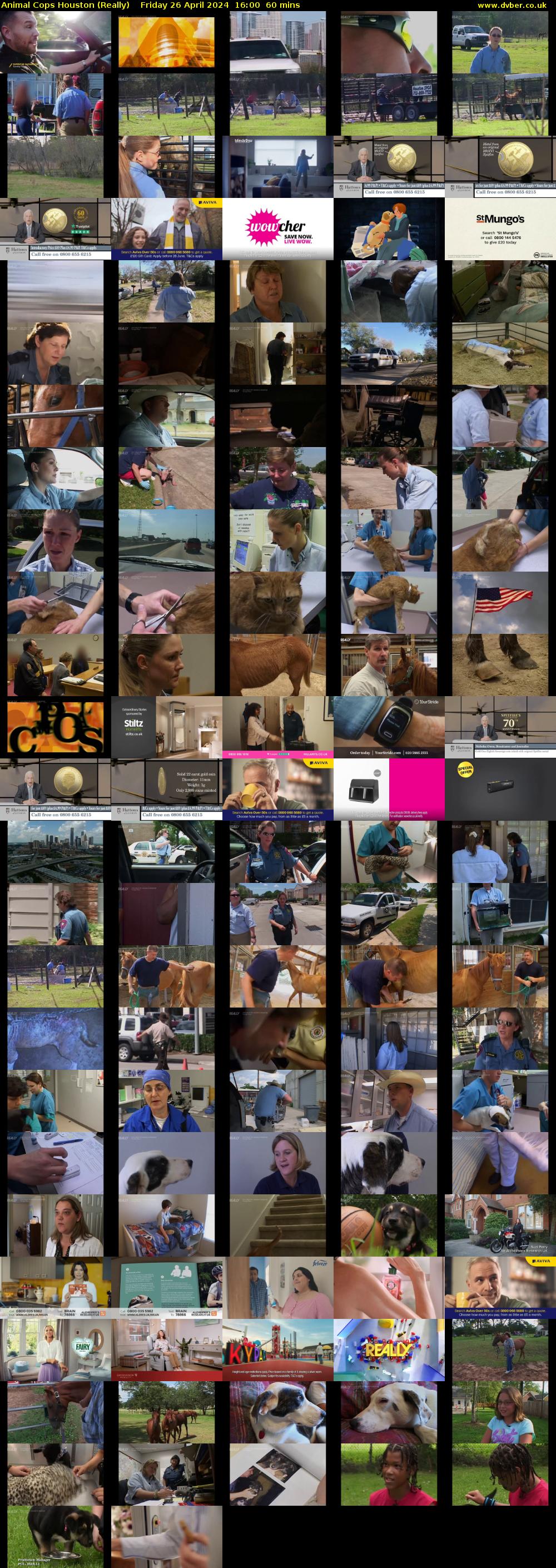 Animal Cops Houston (Really) Friday 26 April 2024 16:00 - 17:00