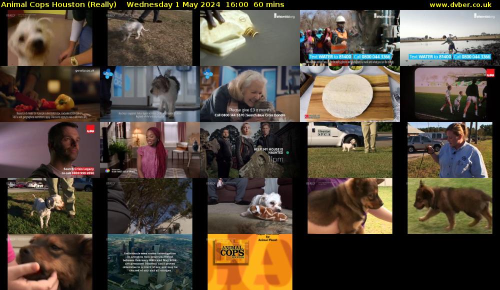 Animal Cops Houston (Really) Wednesday 1 May 2024 16:00 - 17:00