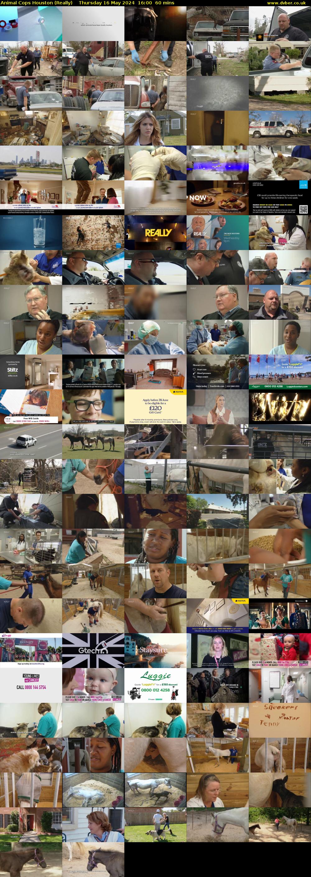 Animal Cops Houston (Really) Thursday 16 May 2024 16:00 - 17:00